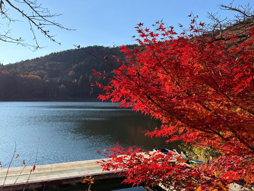 毎年行きたいキャンプ場 四尾連湖 水明荘キャンプ場 ソロキャンプ 区画サイト フリーサイト Ryo-hateさんのキャンプブログ CAMPiii（キャンピー） -キャンプ専用SNS キャンプのすべてがここに集まる-