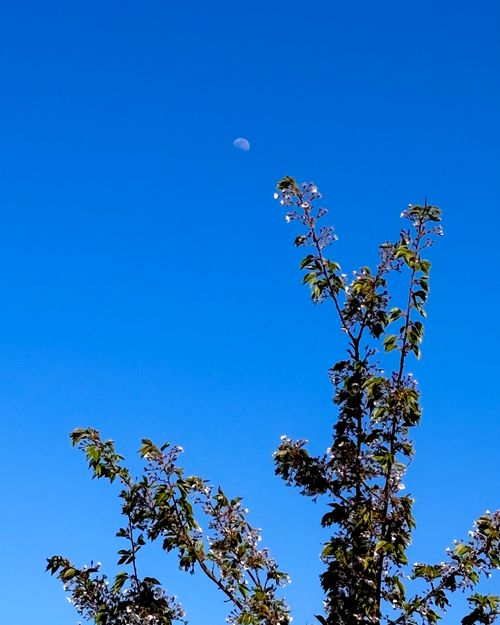 至れり尽くせり💕『お姫様』デイキャンプ 神割崎キャンプ場 Oniyomeさんのキャンプブログ CAMPiii（キャンピー） -キャンプ専用SNS キャンプのすべてがここに集まる-