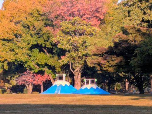 サクッとデイキャン。 庄内緑地 ソロキャンプ フリーサイト ぞのさんさんのキャンプブログ CAMPiii（キャンピー） -キャンプ専用SNS キャンプのすべてがここに集まる-