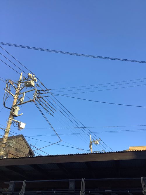 Vol.110 25/NO.29 今年最後の集い‼️ 〆は牡丹鍋で‼️ 坂戸市 ソロキャンプ フリーサイト 🔥焚き火🔥さんのキャンプブログ CAMPiii（キャンピー） -キャンプ専用SNS キャンプのすべてがここに集まる-