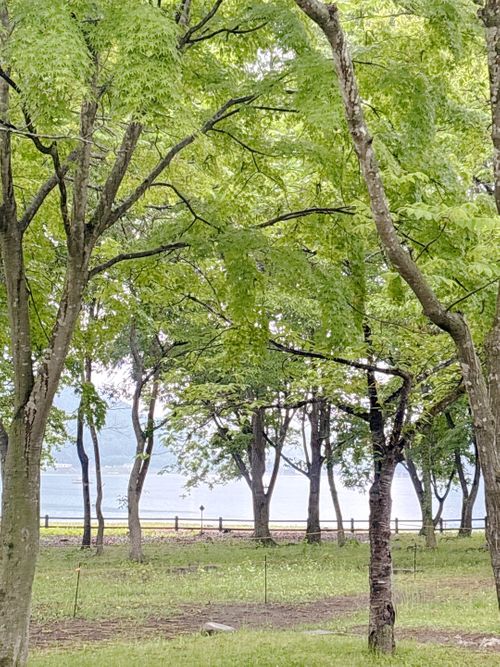 色々ありすぎるんだけど😆🎶アウトドアイベント開催だっちゃ 国営みちのく杜の湖畔公園 Oniyomeさんのキャンプブログ CAMPiii（キャンピー） -キャンプ専用SNS キャンプのすべてがここに集まる-