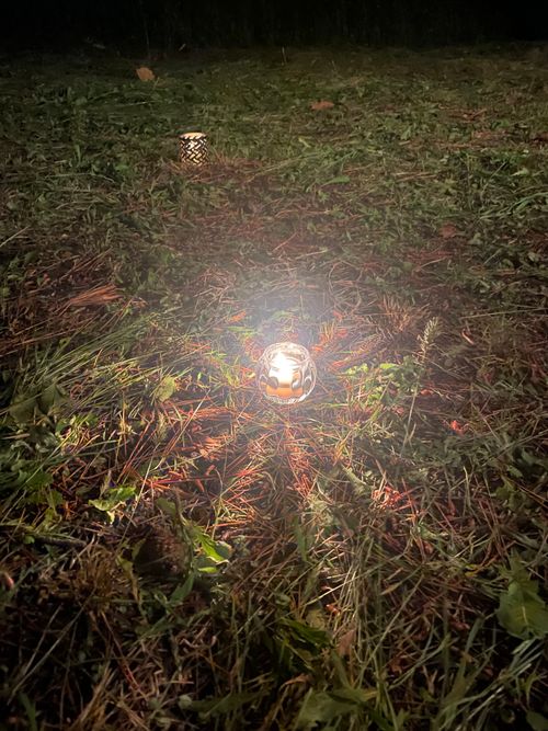 酒蔵で調達した酒のアテは、夕日が調味料の鮮魚と馬刺し 御所の台オートキャンプ場 ファミリーキャンプ フリーサイト ロコCamp0828さんのキャンプブログ CAMPiii（キャンピー） -キャンプ専用SNS キャンプのすべてがここに集まる-