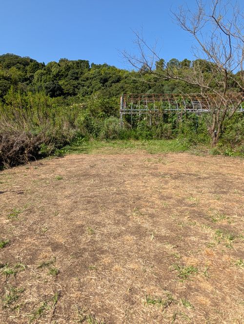 ソロキャンと初心者エギング 大迫キャンプ場 ソロキャンプ 区画サイト ともっちさんのキャンプブログ CAMPiii（キャンピー） -キャンプ専用SNS キャンプのすべてがここに集まる-