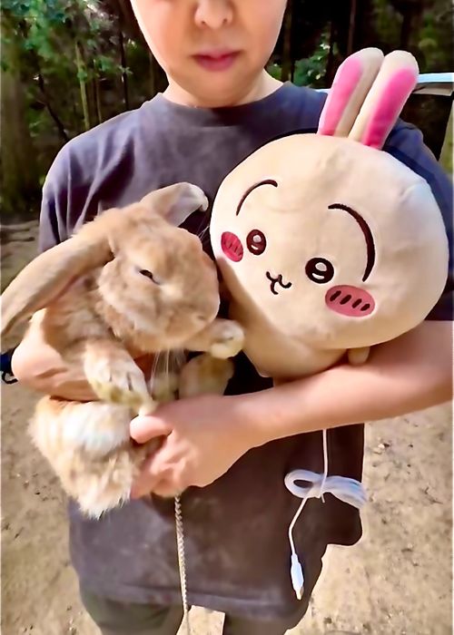 雨キャン覚悟がお天気回復でヒャッハー♫なおじおば🐰🐰キャン△ in 吉部フォレストクラブ犬ヶ迫キャンプ場 〜 CAMP NO.213 吉部フォレストクラブ犬ヶ迫キャンプ場 ファミリーキャンプ グループキャンプ 区画サイト おじキャン△さんのキャンプブログ CAMPiii（キャンピー） -キャンプ専用SNS キャンプのすべてがここに集まる-