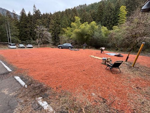 初の〝ソロぐる〟で今年最後の納めキャンプ てゆりキャンプ場 グループキャンプ フリーサイト まつけんさんのキャンプブログ CAMPiii（キャンピー） -キャンプ専用SNS キャンプのすべてがここに集まる-