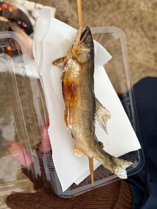 奥久慈キャンプ！キャンプ村やなせ キャンプ村やなせ ファミリーキャンプ 区画サイト ぺちゃさんのキャンプブログ CAMPiii（キャンピー） -キャンプ専用SNS キャンプのすべてがここに集まる-