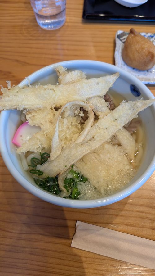 2026年キャンプ始め🎍爆風けん玉合宿🏕️ ひなもりオートキャンプ場 ファミリーキャンプ ヒゲキャンさんのキャンプブログ CAMPiii（キャンピー） -キャンプ専用SNS キャンプのすべてがここに集まる-