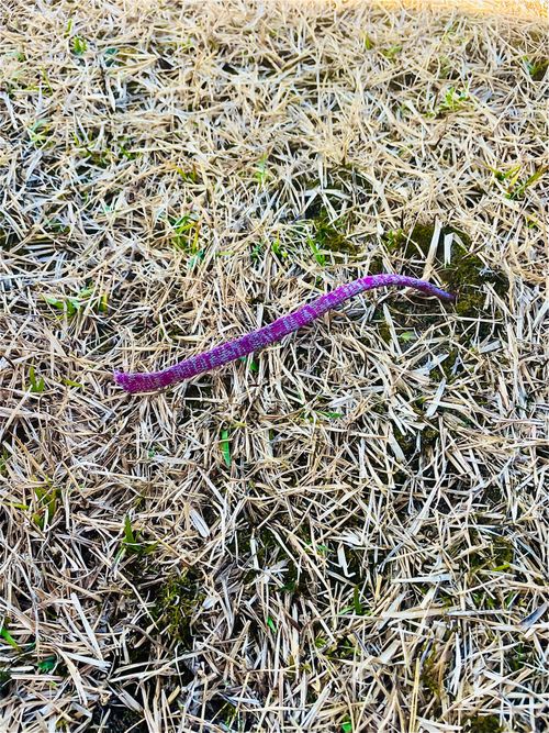 イライラした時は&hellip;やっぱり？リフレッシュおじうさキャン△ in 阿川ほうせんぐり海浜公園 〜 CAMP NO.177 阿川ほうせんぐり海浜公園 ソロキャンプ ファミリーキャンプ フリーサイト おじキャン△さんのキャンプブログ CAMPiii（キャンピー） -キャンプ専用SNS キャンプのすべてがここに集まる-