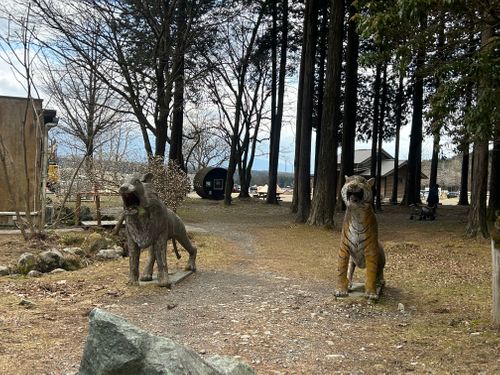 316 ふもとっぱらキャンプ場 ソロキャンプ グループキャンプ フリーサイト Genさんのキャンプブログ CAMPiii（キャンピー） -キャンプ専用SNS キャンプのすべてがここに集まる-