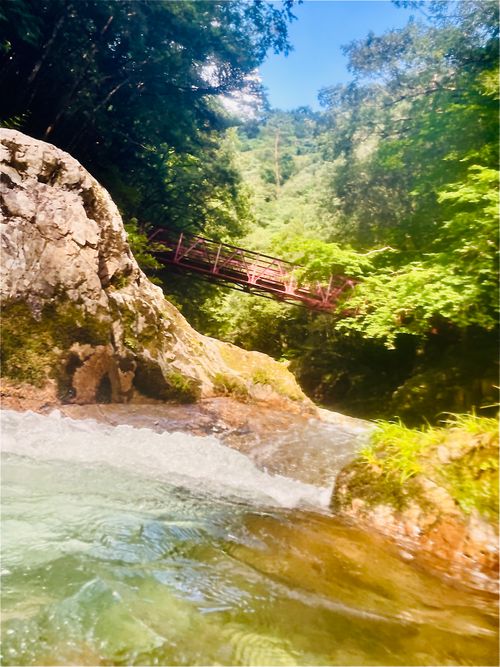 暑い夏に…涼を求めて…渓谷のキャンプ場へおじおばうさキャン△ in 匹見峡レストパーク 〜 CAMP NO.148 匹見峡レストパーク ファミリーキャンプ グループキャンプ 区画サイト おじキャン△さんのキャンプブログ CAMPiii（キャンピー） -キャンプ専用SNS キャンプのすべてがここに集まる-