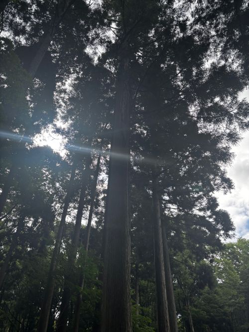後輩夫婦おもてなしキャンプ。 デルフリキャンプ エンジョイドローン上山田キャンプ場 グループキャンプ 区画サイト あやぴーさんのキャンプブログ CAMPiii（キャンピー） -キャンプ専用SNS キャンプのすべてがここに集まる-