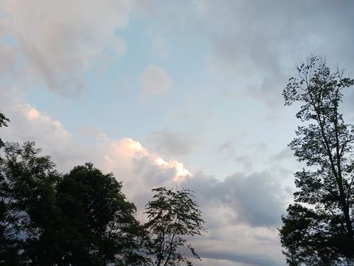 7/19（日）年一回・恒例泊の前泊はキャンプで⛺ 美鈴湖もりの国 オートキャンプ場 ファミリーキャンプ キャンピングカー vios outdoor'sさんのキャンプブログ CAMPiii（キャンピー） -キャンプ専用SNS キャンプのすべてがここに集まる-