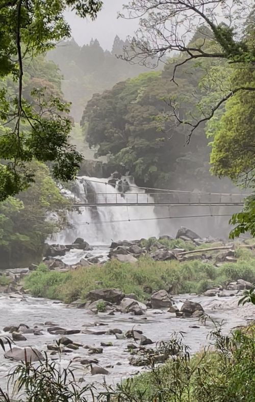 妻の網膜剥離回復祝い@スノピ都城CampField Snow Peak 都城 Campfield ファミリーキャンプ 区画サイト フォレキャンさんのキャンプブログ CAMPiii（キャンピー） -キャンプ専用SNS キャンプのすべてがここに集まる-