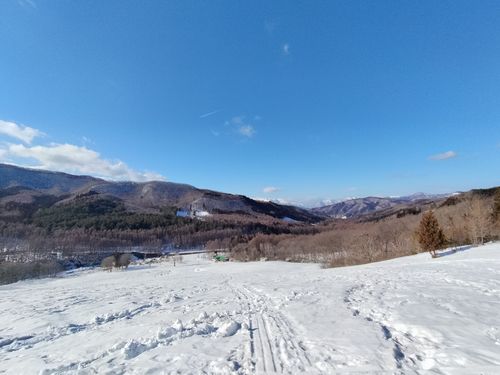 雪中が好きです 飛騨荘川 一色の森キャンプ場 ソロキャンプ グループキャンプ 区画サイト オートサイト たかたかぽんたさんのキャンプブログ CAMPiii（キャンピー） -キャンプ専用SNS キャンプのすべてがここに集まる-