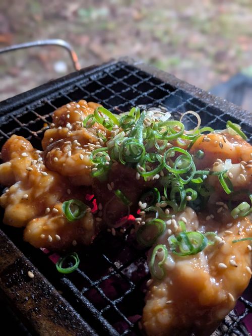 久々のホームからの、年1花火🎇 岩国市二鹿野外活動センター Kurikko-tomoさんのキャンプブログ CAMPiii（キャンピー） -キャンプ専用SNS キャンプのすべてがここに集まる-