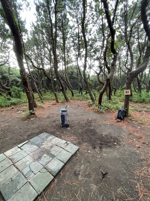 海岸通りが気持ちいい!徒歩ソロで行く、ちがさき柳島キャンプ場 柳島キャンプ場 ソロキャンプ 区画サイト ma9さんのキャンプブログ CAMPiii(キャンピー) -キャンプ専用SNS キャンプのすべてがここに集まる-