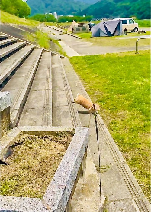 リベンジしなきゃ&hellip;やめられない、止まらない💦悪天候キャンパー天候(転向？)おじうさキャン△ in ゆうゆう広場 〜 CAMP NO.188 ゆうゆう広場 ソロキャンプ ファミリーキャンプ 区画サイト フリーサイト おじキャン△さんのキャンプブログ CAMPiii（キャンピー） -キャンプ専用SNS キャンプのすべてがここに集まる-