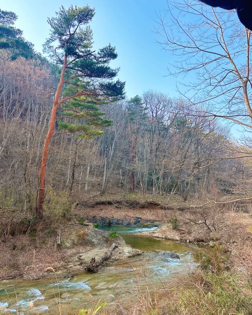 自然と一体！サウナと小川で「ととのう」贅沢時間 OUSE Camp＆Sauna TUULI（トゥーリ） Oniyomeさんのキャンプブログ CAMPiii（キャンピー） -キャンプ専用SNS キャンプのすべてがここに集まる-