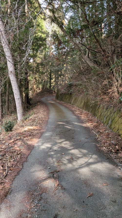 Bカップぐらいが良い 秩父市 ソロキャンプ グループキャンプ 区画サイト オートサイト IZUIZUさんのキャンプブログ CAMPiii（キャンピー） -キャンプ専用SNS キャンプのすべてがここに集まる-