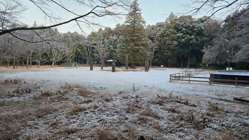 CAMPiii(キャンピー) ke-nさんのキャンプブログ あけおめキャンプは雪でした &GREEN龍ケ崎キャンプ場