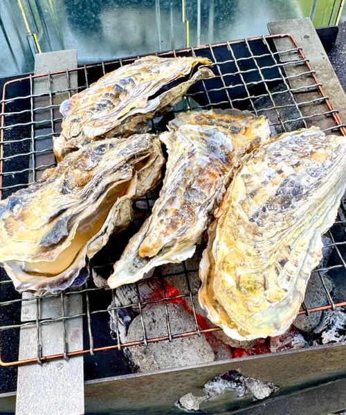 キャンプ&rarr;えびせんべい&rarr;さわやかコース やまぼうしオートキャンプ場 ファミリーキャンプ フリーサイト オートサイト EJIさんのキャンプブログ CAMPiii（キャンピー） -キャンプ専用SNS キャンプのすべてがここに集まる-