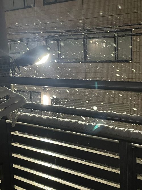 嫁さんと年越し4連泊。浩庵&rarr;ともえ川Park 浩庵キャンプ場 ファミリーキャンプ フリーサイト もるがんさんのキャンプブログ CAMPiii（キャンピー） -キャンプ専用SNS キャンプのすべてがここに集まる-