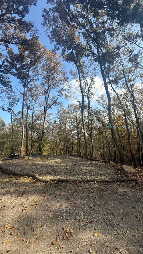 CAMPxWOOD懇親会キャンプ CAMP×WOODS ファミリーキャンプ 区画サイト moreAiさんのキャンプブログ CAMPiii（キャンピー） -キャンプ専用SNS キャンプのすべてがここに集まる-