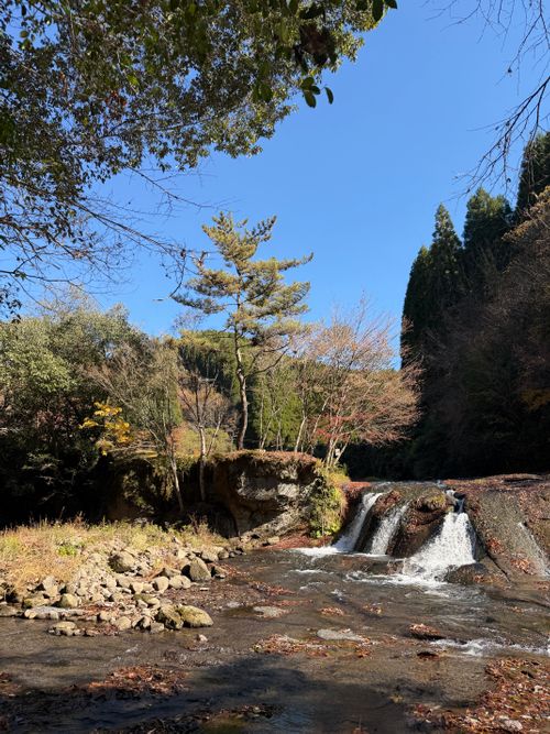 九州伊勢えびキャンプ@阿蘇レインボーバレーたる由縁🌈 阿蘇レインボーバレー グループキャンプ オートサイト ぐうたら夫婦さんのキャンプブログ CAMPiii（キャンピー） -キャンプ専用SNS キャンプのすべてがここに集まる-