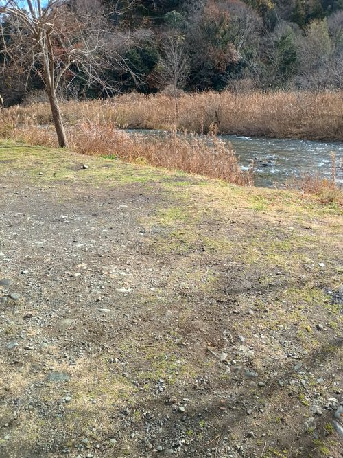 2025年   またしても 雨の軍幕祭り 角田大橋河川敷 ソロキャンプ フリーサイト ウエィダーさんのキャンプブログ CAMPiii（キャンピー） -キャンプ専用SNS キャンプのすべてがここに集まる-