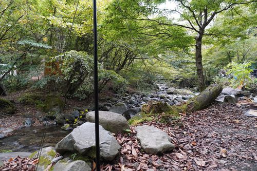 お隣おじゃましましたキャンツー 道志の森キャンプ場 ソロキャンプ フリーサイト 週末スナフキンさんのキャンプブログ CAMPiii(キャンピー) -キャンプ専用SNS キャンプのすべてがここに集まる-