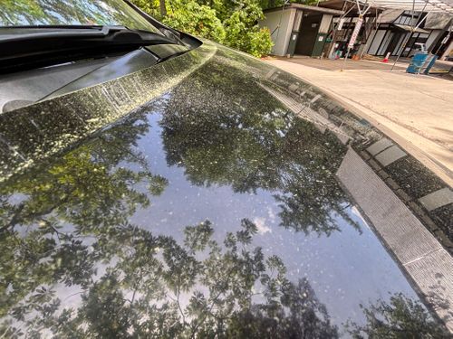 今日は〝何もしない〟まったりキャンプ ひるがの高原キャンプ場 ファミリーキャンプ フリーサイト まつけんさんのキャンプブログ CAMPiii（キャンピー） -キャンプ専用SNS キャンプのすべてがここに集まる-