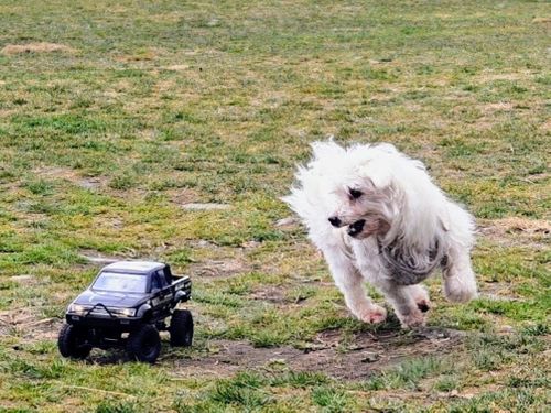 1年ぶりの、カレーの日 ふもとっぱらキャンプ場 ソロキャンプ グループキャンプ フリーサイト ぞのさんさんのキャンプブログ CAMPiii（キャンピー） -キャンプ専用SNS キャンプのすべてがここに集まる-