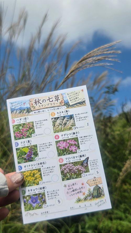 秋満喫ベスト4🍁🍂キャンプと登山とChatGPT 坊ガツル グループキャンプ フリーサイト NATSUさんのキャンプブログ CAMPiii（キャンピー） -キャンプ専用SNS キャンプのすべてがここに集まる-