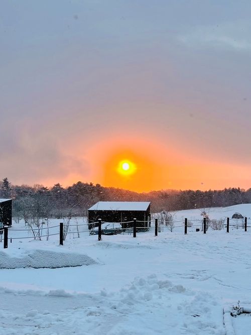 年末は手巻き🍣 IZUMI PEAK BASE （泉ピークベース） ファミリーキャンプ オートサイト 区画サイト トリッディさんのキャンプブログ CAMPiii（キャンピー） -キャンプ専用SNS キャンプのすべてがここに集まる-