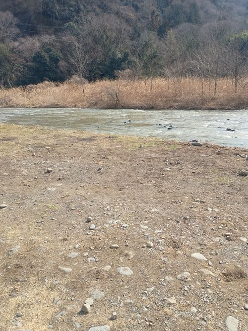 親子軍幕Session   角田大橋河川敷 ファミリーキャンプ フリーサイト ウエィダーさんのキャンプブログ CAMPiii（キャンピー） -キャンプ専用SNS キャンプのすべてがここに集まる-