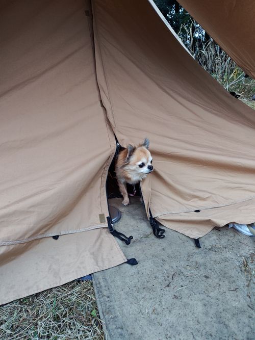 おとかめオフ会 #FOb 志高湖キャンプ場 グループキャンプ フリーサイト オートサイト けい＠福島県さんのキャンプブログ CAMPiii（キャンピー） -キャンプ専用SNS キャンプのすべてがここに集まる-