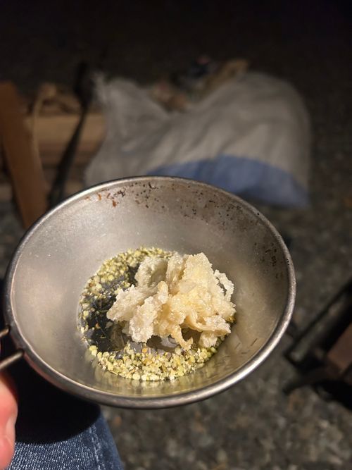 花見キャンプのはずなのに🤔 伊豆キャンパーズヴィレッジ ソロキャンプ フリーサイト Genさんのキャンプブログ CAMPiii（キャンピー） -キャンプ専用SNS キャンプのすべてがここに集まる-