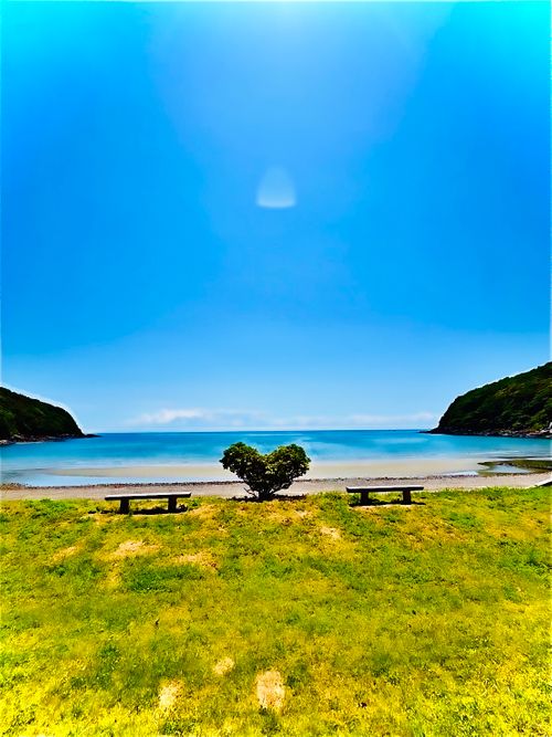 ワクワク絶景海浜おじおばうさキャン△ in 田ノ浦キャンプ場 〜 CAMP NO.191 田ノ浦キャンプ場 ファミリーキャンプ グループキャンプ フリーサイト おじキャン△さんのキャンプブログ CAMPiii（キャンピー） -キャンプ専用SNS キャンプのすべてがここに集まる-