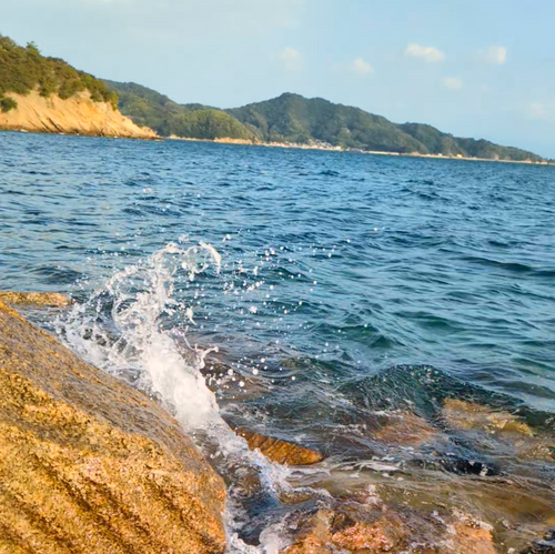 無人島にカヤックで渡ってみたキャンプ🏕 ホシアカリ 波うち 区画サイト NATSUさんのキャンプブログ CAMPiii（キャンピー） -キャンプ専用SNS キャンプのすべてがここに集まる-