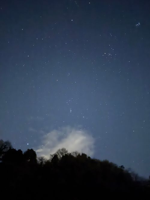 2025年キャンプ納め@新戸キャンプ場 新戸キャンプ場 グループキャンプ 区画サイト はすさんのキャンプブログ CAMPiii（キャンピー） -キャンプ専用SNS キャンプのすべてがここに集まる-