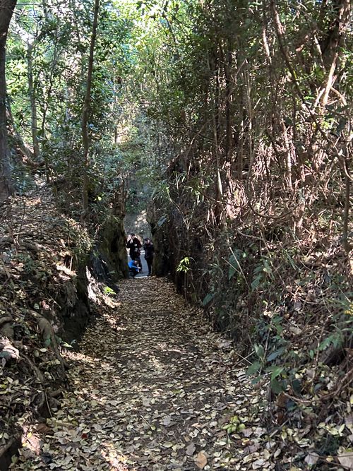 バックパックに憧れて、ついに決行 トウシキキャンプ場(野営場)無料 ソロキャンプ グループキャンプ フリーサイト Genさんのキャンプブログ CAMPiii（キャンピー） -キャンプ専用SNS キャンプのすべてがここに集まる-