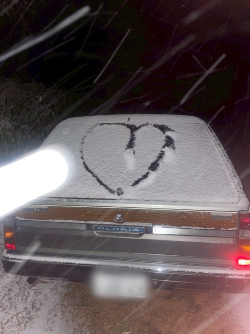 今年の初きゃんは〝まさか〟の連続&hellip; the veg out グループキャンプ オートサイト まつけんさんのキャンプブログ CAMPiii（キャンピー） -キャンプ専用SNS キャンプのすべてがここに集まる-