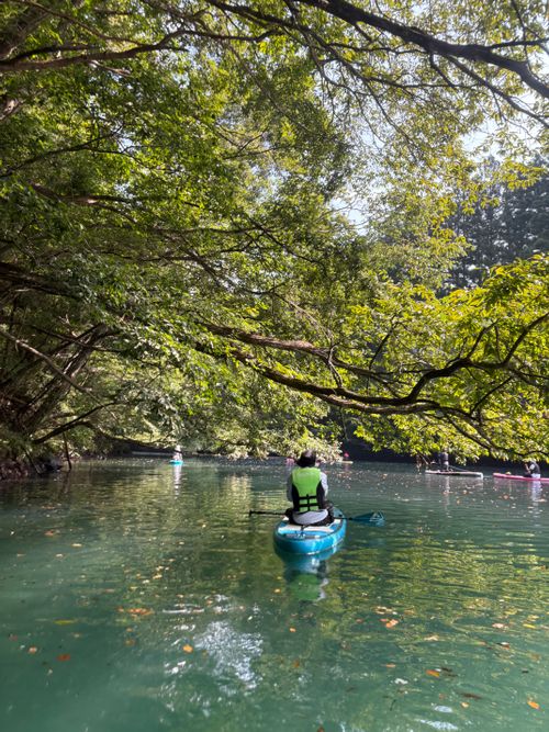 あぁ、これが私のsupかも〜夏のくつろぎ 四万湖(中之条ダム)駐車場 ぷりんさんのキャンプブログ CAMPiii(キャンピー) -キャンプ専用SNS キャンプのすべてがここに集まる-