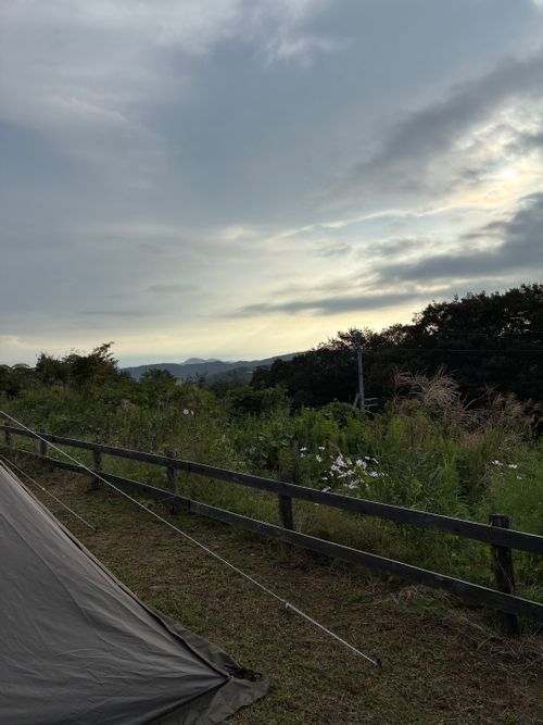 2025年13回目、お花畑キャン💐 花の駅せら「世羅ゆり園」 ファミリーキャンプ 区画サイト オートサイト わいげさんのキャンプブログ CAMPiii（キャンピー） -キャンプ専用SNS キャンプのすべてがここに集まる-