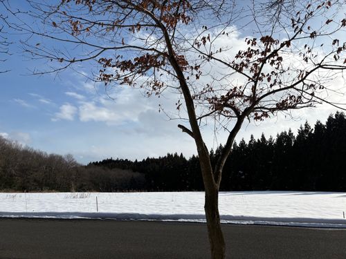 愛すべき同僚達とキャンプ🏕️初心者も安心 HOSOMINE BASE 細峯ベース グループキャンプ 区画サイト ぱぱちょさんのキャンプブログ CAMPiii（キャンピー） -キャンプ専用SNS キャンプのすべてがここに集まる-