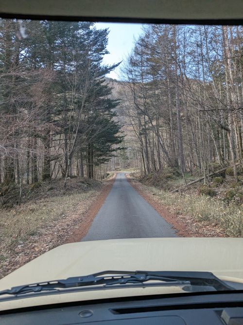 ちくいち (標高約1200m)(オートフリーサイト4500円) 内山牧場 ソロキャンプ グループキャンプ フリーサイト オートサイト IZUIZUさんのキャンプブログ CAMPiii（キャンピー） -キャンプ専用SNS キャンプのすべてがここに集まる-