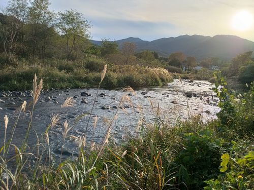 ウエィダーJr 薪スト火入れのデーキャンプ 角田大橋河川敷 ソロキャンプ フリーサイト ウエィダーさんのキャンプブログ CAMPiii（キャンピー） -キャンプ専用SNS キャンプのすべてがここに集まる-