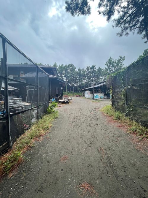 海岸通りが気持ちいい!徒歩ソロで行く、ちがさき柳島キャンプ場 柳島キャンプ場 ソロキャンプ 区画サイト ma9さんのキャンプブログ CAMPiii(キャンピー) -キャンプ専用SNS キャンプのすべてがここに集まる-