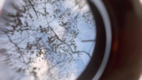 朝明渓魚苑キャンプ場 朝明渓魚苑キャンプ場 ソロキャンプ HOTさんのキャンプブログ CAMPiii（キャンピー） -キャンプ専用SNS キャンプのすべてがここに集まる-