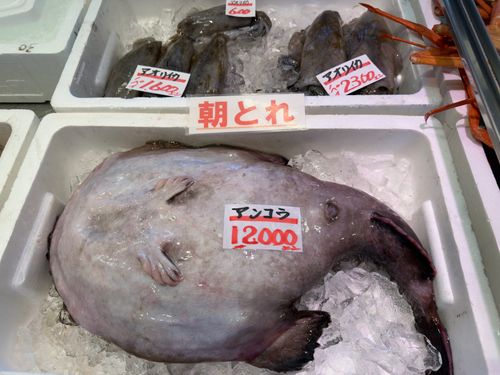 新年雪中デビュー⛄️❄️🌨🏔️@前編 閑乗寺公園 第2キャンプ場 ファミリーキャンプ 区画サイト オートサイト ぐうたら夫婦さんのキャンプブログ CAMPiii（キャンピー） -キャンプ専用SNS キャンプのすべてがここに集まる-